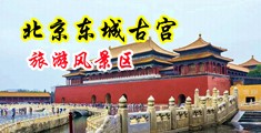 香港自慰女星中国北京-东城古宫旅游风景区